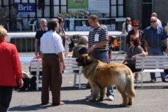 060_mvp_litomerice-13