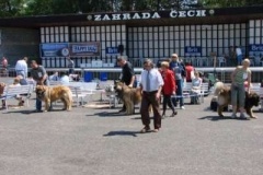 060_mvp_litomerice-16