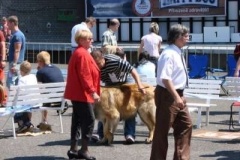 060_mvp_litomerice-2