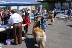 060_mvp_litomerice-3