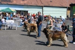 060_mvp_litomerice-7