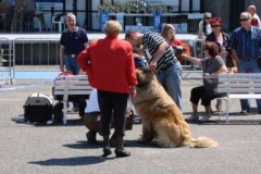 060_mvp_litomerice-8
