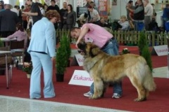 061_mvp_nitra-1