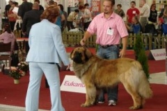 061_mvp_nitra-2
