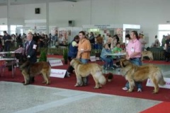 061_mvp_nitra-3