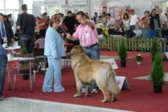 061_mvp_nitra-4