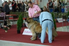 061_mvp_nitra-5