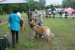 062_mvp_krakov-1