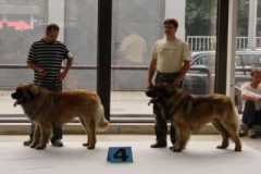 063_bard_mvp_brno-1