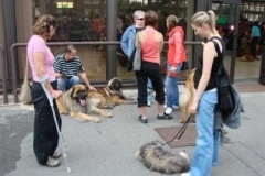 064_gwen_mvp_brno-2