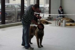 064_gwen_mvp_brno-3