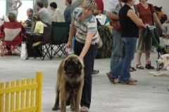 065_gwen_mvp_bratislava-1