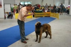 065_gwen_mvp_bratislava-2