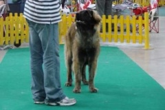 065_gwen_mvp_bratislava-3