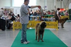 065_gwen_mvp_bratislava-4