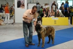 065_gwen_mvp_bratislava-5
