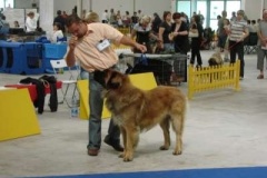 066_bard_mvp_bratislava-1