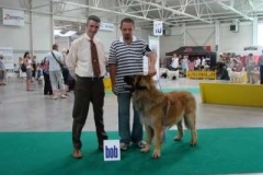 066_bard_mvp_bratislava-2