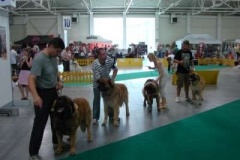 066_bard_mvp_bratislava-6