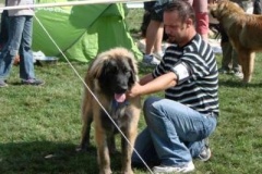 067_gwen_mvp_mlada_boleslav-2