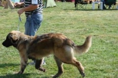 067_gwen_mvp_mlada_boleslav-3