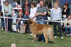 068_bard_mvp_mlada_boleslav-1