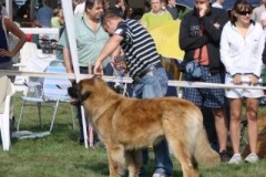 068_bard_mvp_mlada_boleslav-3