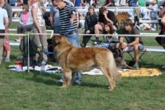 068_bard_mvp_mlada_boleslav-4