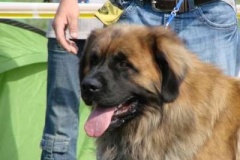 068_bard_mvp_mlada_boleslav-5