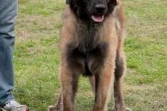 069_gwen_kv_svojanov-10