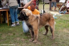 069_gwen_kv_svojanov-2