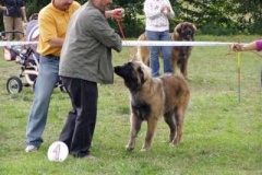 069_gwen_kv_svojanov-4
