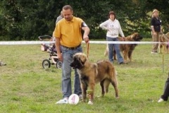 069_gwen_kv_svojanov-5