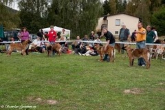 069_gwen_kv_svojanov-6