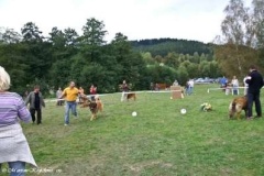070_bard_kv_svojanov-1