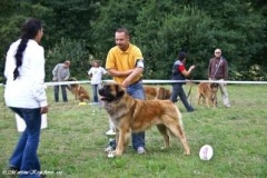 070_bard_kv_svojanov-14