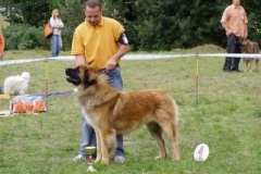 070_bard_kv_svojanov-16