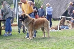 070_bard_kv_svojanov-19