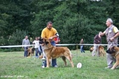 070_bard_kv_svojanov-26