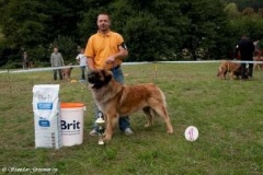 070_bard_kv_svojanov-31