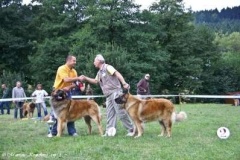070_bard_kv_svojanov-36