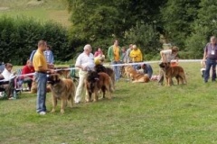 070_bard_kv_svojanov-4