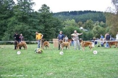 070_bard_kv_svojanov-5