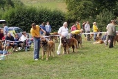 070_bard_kv_svojanov-9