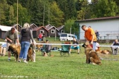 071_gwen_svojanov_svod_mladych-10