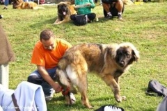 071_gwen_svojanov_svod_mladych-12
