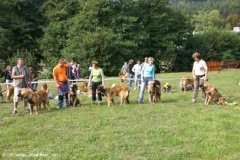 071_gwen_svojanov_svod_mladych-14