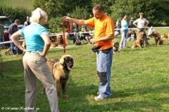 071_gwen_svojanov_svod_mladych-16