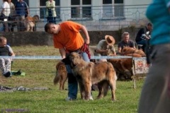 071_gwen_svojanov_svod_mladych-17