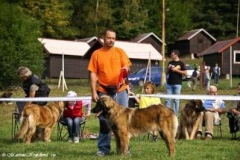 071_gwen_svojanov_svod_mladych-18